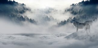 Gdzie zimą suszyć pranie?