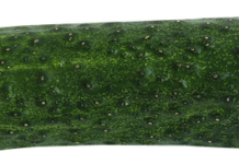 Czy zupa ogórkowa ma gluten?