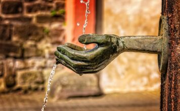 Czym najlepiej czyścić zmywarkę?