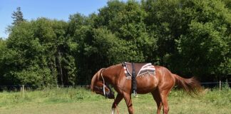 Jak zamontować kamień napowietrzający?