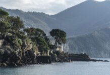 Ile kosztuje cukier we Francji?