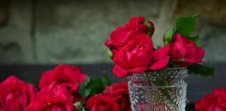 Dlaczego stoi wodą w pojemniku na płyn do płukania?