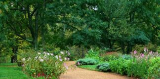 Jak wyczyścić żwirek w akwarium?