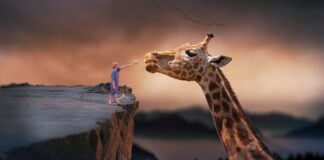 Co jeść po 70 roku życia?