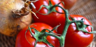 Ile kosztuje całe wyposażenie akwarium?