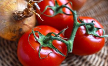 Ile kosztuje całe wyposażenie akwarium? Ile kosztuje całe wyposażenie akwarium?