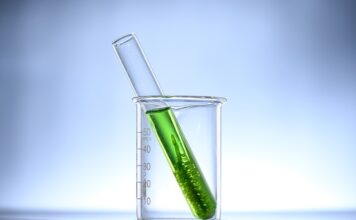 Jak pozbyć się glonów z szyby w akwarium? Jak pozbyć się glonów z szyby w akwarium?