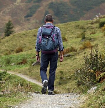 Czy można zamrozić tort z bitą śmietaną i mascarpone? Czy można zamrozić tort z bitą śmietaną i mascarpone?