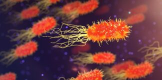 Co się dzieje w organizmie po spożyciu cukru?