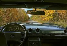 Co warto przywieźć z Ukrainy do Polski? Co warto przywieźć z Ukrainy do Polski?