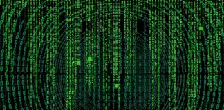 Skąd się wzięła nazwa krówka?