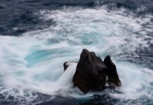 Co obecnie z cenami cukru?