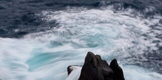 Co obecnie z cenami cukru?