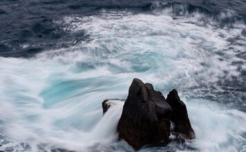 Co obecnie z cenami cukru?