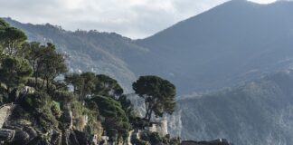 Ile kosztuje cukier w Holandii?