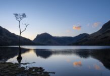 Co lepsze na jelita maślanka czy kefir? Co lepsze na jelita maślanka czy kefir?