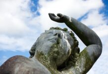 Co zjada odchody ryb w akwarium?