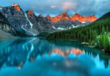 Czym usunąć kamień z akwarium? Czym usunąć kamień z akwarium?