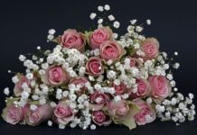 Czy mówi się dziękuję po obiedzie? Czy mówi się dziękuję po obiedzie?