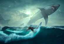 Co można zrobić na szybko?