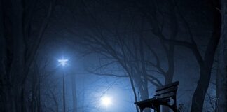 Skąd Polska ma cukier?