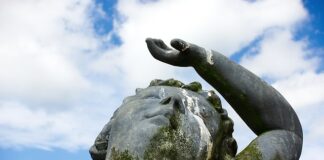 Co z odchodami ryb w akwarium?