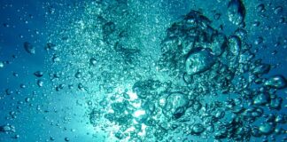 Czy w akwarium muszą być bąbelki z filtra?