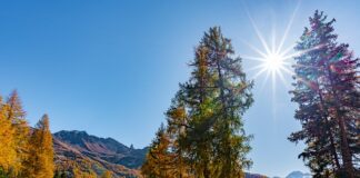 Jak zrobić masę do figurek?