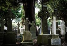 Co dać zamiast kostki do zmywarki?