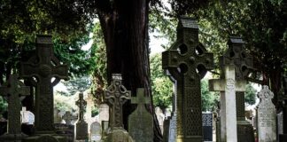 Co dać zamiast kostki do zmywarki?